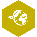 ESG Environment